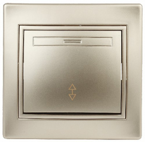 Переключатель INTRO 10АХ-250В, скрытой установки, Plano, шампань (1/10/200/3200) (Б0030039) фото 2 Переключатель INTRO 10АХ-250В, скрытой установки, Plano, шампань (1/10/200/3200) (Б0030039) фото 2