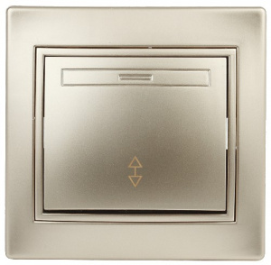 Переключатель INTRO 10АХ-250В, скрытой установки, Plano, шампань (1/10/200/3200) (Б0030039) Переключатель INTRO 10АХ-250В, скрытой установки, Plano, шампань (1/10/200/3200) (Б0030039)