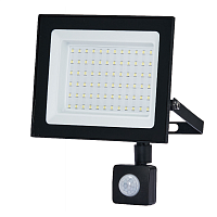 Прожектор светодиодный KRONUS 50 Вт 6500K IP44 220V с датчиком движения холодный свет черный корпус (1/40) (KRS-02-0019)