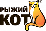Рыжий кот