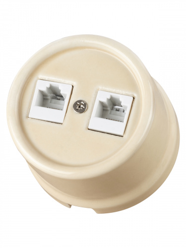 Розетка TDM двойная телефонная RJ11 сл. кость «Болонь» (1/72) (SQ1820-0350) фото 6 Розетка TDM двойная телефонная RJ11 сл. кость «Болонь» (1/72) (SQ1820-0350) фото 6