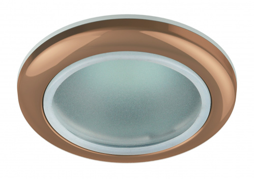 Светильник ЭРА WR1 SC влагозащищенный MR16 12V/220V 50W медь (100/2400) (C0043844) фото 3