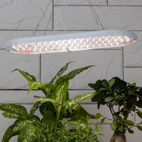 Светильник для растений ЭРА FITO-25W-QLED-FLY подвесной полного спектра 25 Вт (1/20) (Б0053062) фото 13