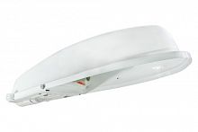 Светильник TDM РКУ 97-250-001 без стекла (SQ0318-0011)