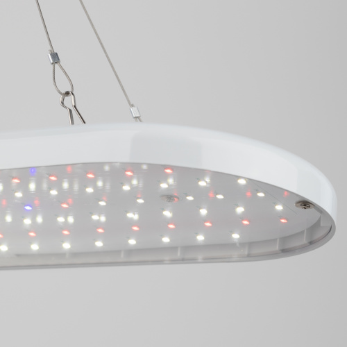 Светильник для растений ЭРА FITO-25W-QLED-FLY подвесной полного спектра 25 Вт (1/20) (Б0053062) фото 9