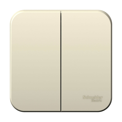 Выключатель 2-кл. О/У BLANCA 10А IP20 (сх. 5) 250В с изолир. пластиной молочн. Systeme Electric BLNVA105012 (1/15/90)