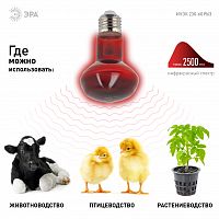 Лампа ЭРА накаливания ИКЗК 230В 60Вт R63 Е27 (инфракрасная зеркальная красная) для обогрева животных и освещения (1/50) (Б0057281)