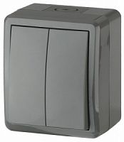 Выключатель ЭРА, серии ЭРА Эксперт, двойной IP54, 10АХ-250В, ОУ, серый (1/16/160/2560)