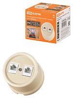 Розетка TDM двойная телефонная RJ11 сл. кость «Болонь» (1/72) (SQ1820-0350)