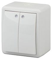 Выключатель ЭРА, серии ЭРА Эксперт, двойной с подсветкой IP54, 10АХ-250В, ОУ, белый (16/160/2560 11-1405-01