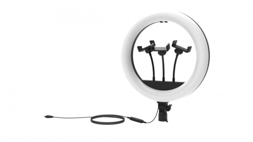 Кольцевая лампа RITMIX RRL-360, 36см, без штатива (1/20) (80001602) Кольцевая лампа RITMIX RRL-360, 36см, без штатива (1/20) (80001602)