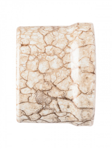 Розетка TDM двойная компьютерная RJ45 мраморная «Болонь» (1/72) (SQ1820-0151) фото 4 Розетка TDM двойная компьютерная RJ45 мраморная «Болонь» (1/72) (SQ1820-0151) фото 4