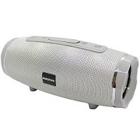 Колонка портативная Borofone BR3, Rich sound, металл, пластик, microSD, цвет: серый (1/40) (6931474715609)