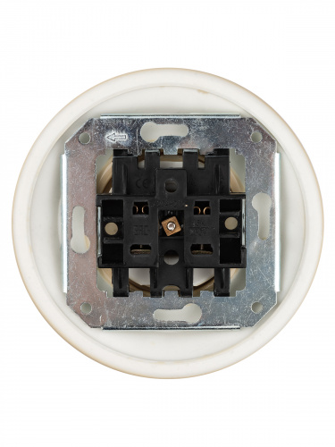 Розетка TDM скрытой установки фарфоровая 2П 10А 250В сл. кость «Болонь» (1/36) (SQ1820-0321) фото 3