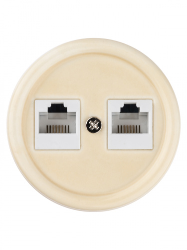 Розетка TDM двойная телефонная RJ11 сл. кость «Болонь» (1/72) (SQ1820-0350) фото 5 Розетка TDM двойная телефонная RJ11 сл. кость «Болонь» (1/72) (SQ1820-0350) фото 5