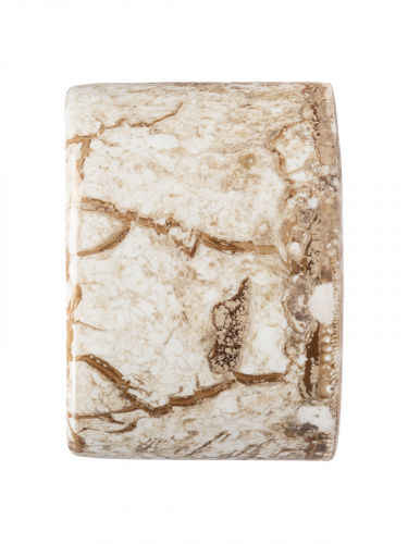 Розетка TDM TV проходная мраморная «Болонь» (1/72) (SQ1820-0154) фото 4 Розетка TDM TV проходная мраморная «Болонь» (1/72) (SQ1820-0154) фото 4