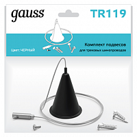Комплект подвесов GAUSS для трековых шинопроводов цвет черный (TR119)