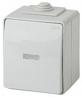 Выключатель ЭРА, серии ЭРА Эксперт, с подсветкой IP65, 10АХ-250В, ОУ, серый (10/100/1600)