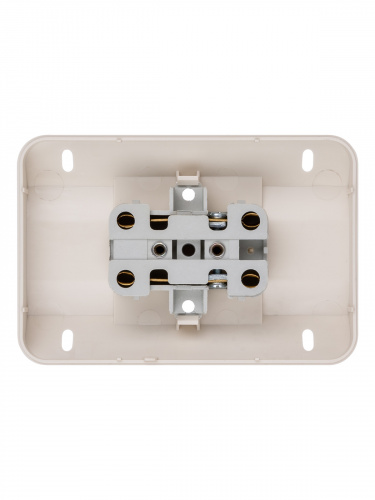 Розетка TDM угловая двойная 2П открытой установки с з/ш IP20 250В 10А сл. кость "Ладога" (6/72) (SQ1801-0242) фото 5