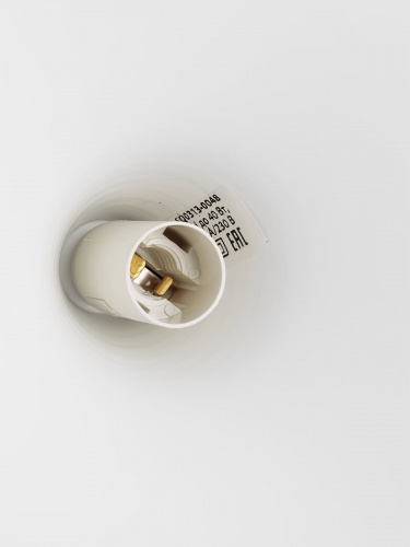 Светильник НСБ 3526/1 "Steel" 40 Вт, Е14, белый, шнур белый TDM (1/1) (SQ0313-0048) фото 5 Светильник НСБ 3526/1 "Steel" 40 Вт, Е14, белый, шнур белый TDM (1/1) (SQ0313-0048) фото 5