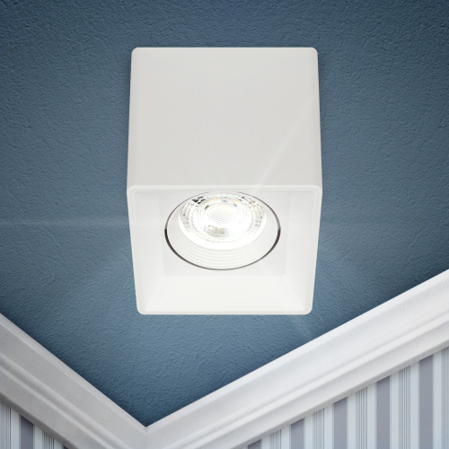 Светильник ЭРА настенно-потолочный спот OL24-1 WH MR16/GU5.3, белый, поворотный (1/50) (Б0054381) фото 2 Светильник ЭРА настенно-потолочный спот OL24-1 WH MR16/GU5.3, белый, поворотный (1/50) (Б0054381) фото 2