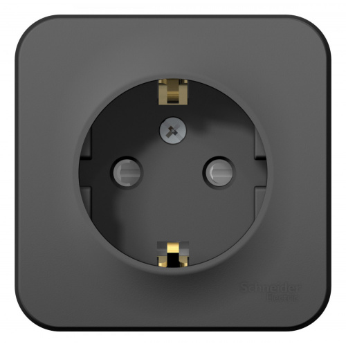 Розетка 1-м О/У BLANCA 16А IP20 250В с заземл. защ. шторки с изолир. пластиной антрацит Systeme Electric BLNRA011116 (1/12/24)