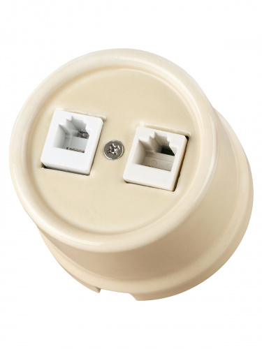 Розетка TDM телефонная RJ11 + компьютерная RJ45 сл. кость «Болонь» (1/72) (SQ1820-0352) фото 6