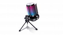 Микрофон RITMIX RDM-179 Настольный игровой чёрн. конденс, кардиоида, Type-C-USB A/Type-C, Jack 3,5мм на наушн, подсвет, шумопод (1/20) (80006423)