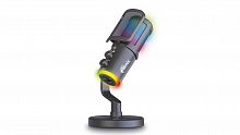 Микрофон RITMIX RDM-178S Настольный игровой чёрн. конденс, кардиоида, Type-C-USB A/Type-C, Jack 3,5мм на наушн, подсвет, шумопод (1/20) (80006421)