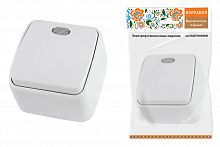 Выключатель 1-кл. открытой установки с подсветкой IP20 10А, белый "Дача" Народная (1/10/100) (SQ1824-0005)