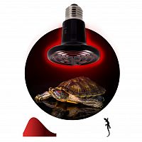 Инфракрасная лампа ЭРА ЭРА FITO-50W-НQ керамическая серии CeramiHeat модель RX для брудера, рептилий 50 Вт Е27 (1/100) (Б0052714)