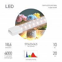 Фитолампа для растений светодиодная линейная ЭРА GREEN LINE FITO-10W-Т5-PFR-Slim-GR полного спектра 10 Вт (1/100) (Б0066968)