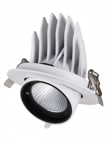 Светильник светодиодный TDM встраиваемый поворотный "Акцент-1" DSL-01-030-WW 30 Вт, 24°, 3000 К, 90 Ra, IP40, (1/20) (SQ0369-0401) фото 5 Светильник светодиодный TDM встраиваемый поворотный "Акцент-1" DSL-01-030-WW 30 Вт, 24°, 3000 К, 90 Ra, IP40, (1/20) (SQ0369-0401) фото 5