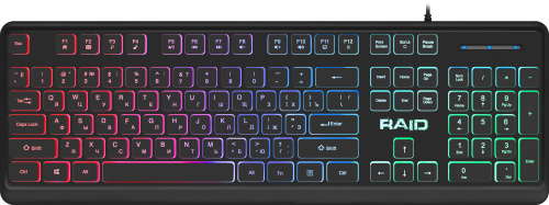 Клавиатура проводная игровая DEFENDER Raid GK-778DL RU, Rainbow,104 кнопки, черная (1/20) (45778) фото 2