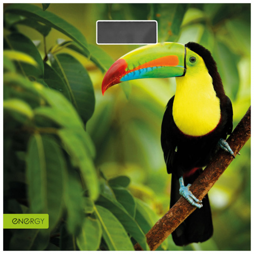 Весы напольные электронные ENERGY EN-419L (1/6) (101257) фото 3 Весы напольные электронные ENERGY EN-419L (1/6) (101257) фото 3