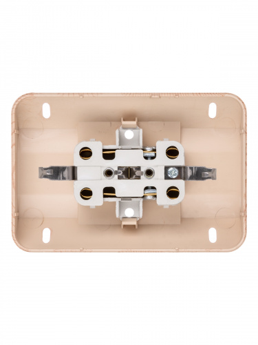 Розетка TDM угловая двойная 2П+3 открытой установки с з/ш IP20 250В 16А сосна "Ладога" (6/72) (SQ1801-0443) фото 5