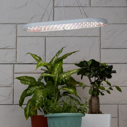 Светильник для растений ЭРА FITO-25W-QLED-FLY подвесной полного спектра 25 Вт (1/20) (Б0053062) фото 12