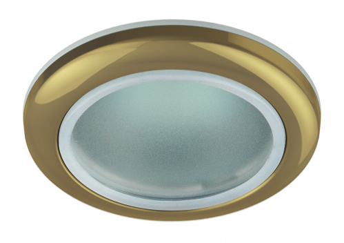 Светильник ЭРА WR1 GD влагозащищенный MR16 12V220V 50W золото (100/2000) (C0043846) фото 3
