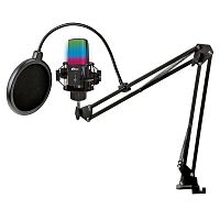 Микрофон на стойке RITMIX RDM-270 Black, конденсаторный, XLR- jack3,5 мм, RGB подсветка (1/10) (80004728)