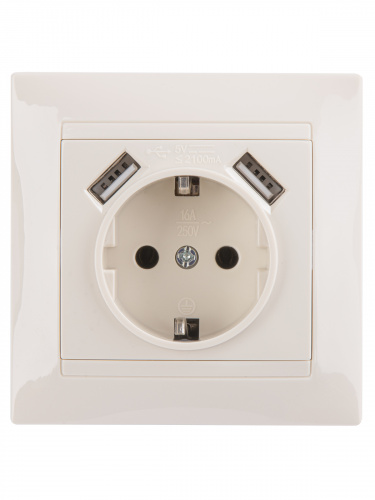 Розетка 2П+З 16А 250В + 2 USB порта 2,1А 5В сл.кость с/у, "Лама" (1/96) TDM (SQ1815-0142) фото 4