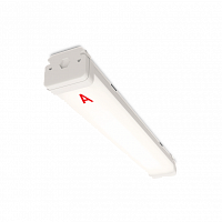 Светильник светодиодный WOLTA PRO НеоПРОМ с БАП ДСП05-27-041-4К 580x83x70 мм IP67 2900 лм 4000K Матовый ЕМ1 27 Вт с блоком аварийного питания 1/1