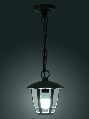 Светильник садово-парковый TDM "СИТИ" НСУ 07-60-002 У1 6-ти гранник подвесной серый (1/8) (SQ0330-1326) фото 3 Светильник садово-парковый TDM "СИТИ" НСУ 07-60-002 У1 6-ти гранник подвесной серый (1/8) (SQ0330-1326) фото 3