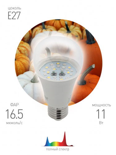 Лампа светодиодная ЭРА FITO-11W-Ra90-E 27 для растений полного спектра new 11 Вт Е27 (1/36) (Б0050603) фото 3