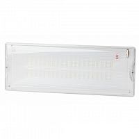 Светильник светодиодный ЭРА аварийный DPA-301-1-65 постоянный 40LED 3ч IP65 (Б0051843)