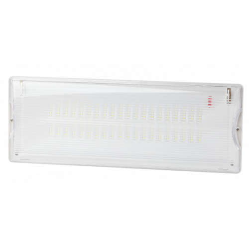 Светильник светодиодный ЭРА аварийный DPA-301-1-65 постоянный 40LED 3ч IP65 (Б0051843)