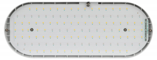 Светильник для растений ЭРА FITO-25W-QLED-FLY подвесной полного спектра 25 Вт (1/20) (Б0053062) фото 5