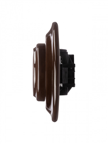 Розетка TDM скрытой установки фарфоровая 2П+З 16А 250В коричневая «Болонь» (1/36) (SQ1820-0422) фото 4 Розетка TDM скрытой установки фарфоровая 2П+З 16А 250В коричневая «Болонь» (1/36) (SQ1820-0422) фото 4