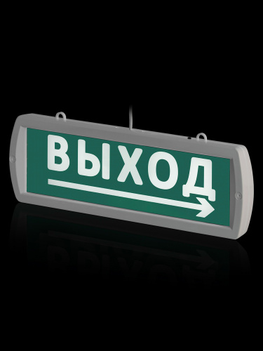 Оповещатель TDM охранно-пожарный световой Топаз-220-РИП-Д "Направление к выходу" 220 В, 6ч, IP52 (1/35) (SQ0349-0412) фото 3