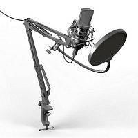 Микрофон RITMIX RDM-169, черный, настольный (1/8) (80000749)