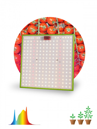 Квантум борд ЭРА FITO-80W-LED-QB Quantum board фитопрожектор полного спектра 80 Вт 3500К (1/10) (Б0053285)
